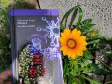 nowosci_wydawnicze_sierpien_5_005